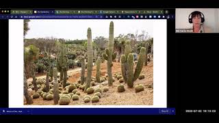 Creating Fabulous Low Water and Dry Gardens with Napa County UC Master Gardeners