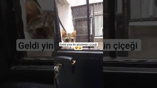 Her Gün Sucuk İsteyen Vergi Memuru Kapımda 😅