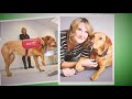 Can Dogs Really Sniff out Cancer? | Dogs Trained for Disease Detection