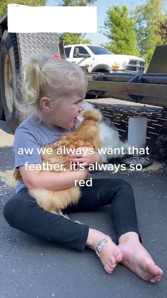 Daughter Loves Fluffy Chicken || ViralHog
