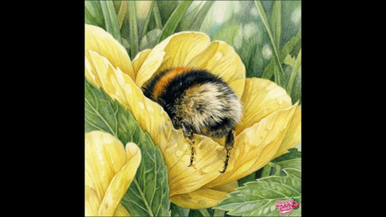 Pave Maijanen - Jano