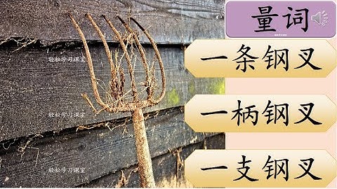 量词l练习 2 Measure Words Exercise Learn Chinese Measure Words 杯 bei 本 ben 笔 bi 柄 bing