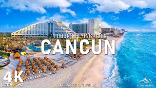 CANCUN 4K  Exploring Cancun’s Rich Marine and Terrestrial Landscapes