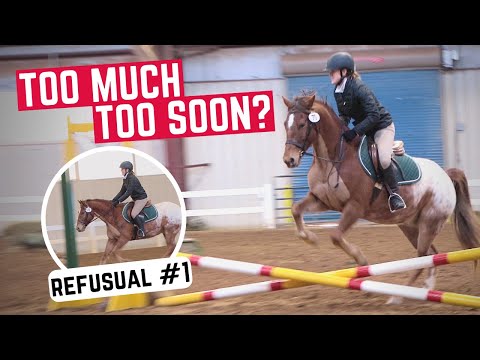 Horse’s FIRST Jumper Derby Show