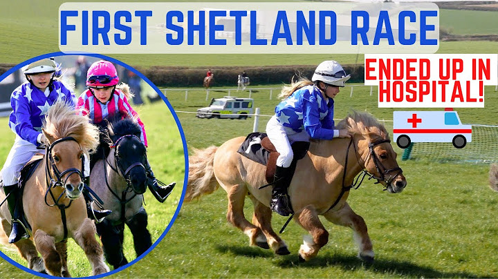 FIRST SHETLAND RACE WITH CLOUDY * ENDS UP IN HOSPITAL * DRAMATIC DAY! *