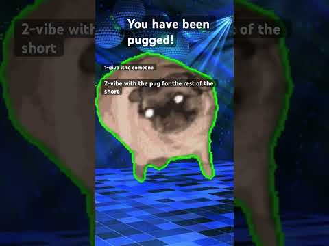 You got pugged!#meme#shorts - YouTube