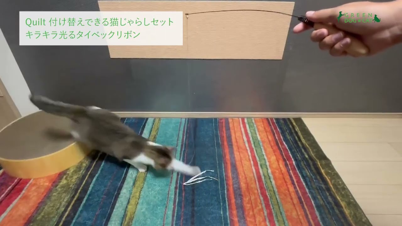 Quilt 付け替えできる猫じゃらしセット キラキラ光るタイベックリボン