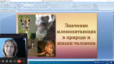 Значение млекопитающих