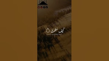 ياسر الدوسري ماتيسر من سورة الغاشية ...