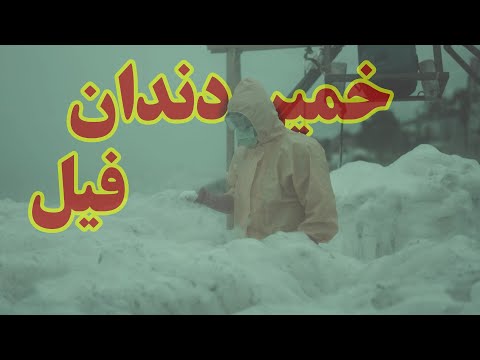 آزمایش خمیردندان فیل | خراب کاری یوری و واکنش شیمیایی