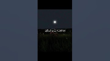 سورة البقرة ياسر الدوسري