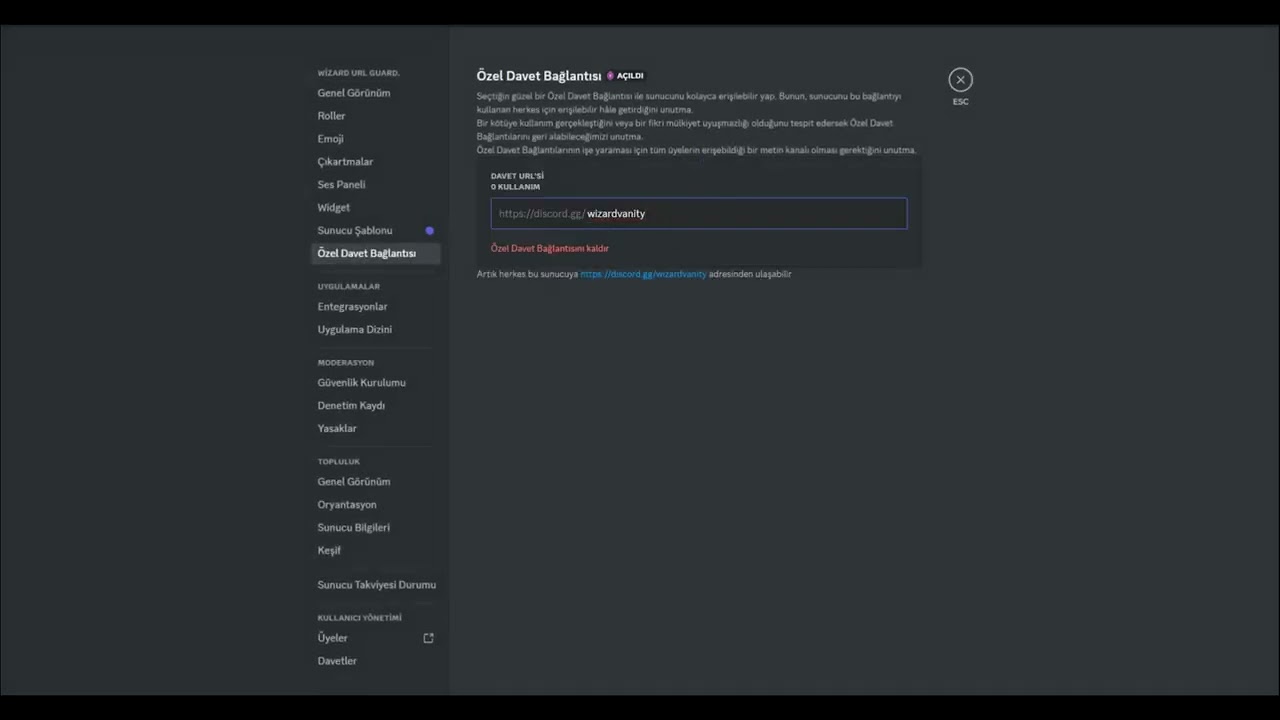 Discord Url Sniper (Vanity)