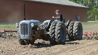 Ferguson FE35 Custom Build Tandem-Tractor Working Hard in The Field at Ferguson Days | Danish Agri