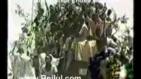 ERITREANvid Subtitled:  Eritrean Liberation/Independence "Senay Zeben" (YismeAni Alo)