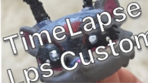 TimeLapse Lps Custom