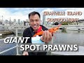 Seafood at Granville Island | HOW TO Clean &amp; Eat Spot Prawns