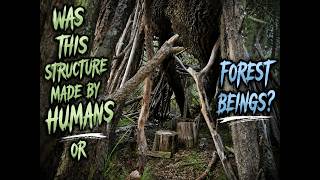 Who Made This Structure #bigfoot #wearenotalone #structure #humanmade #woods #forest #research