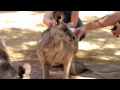 WILD LIFE Sydney Zoo School Holidays