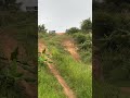 nekad turun dari tebing pakai vixion #fypviral