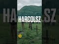 Videó borítókép
