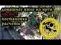 домашнее вино из ирги  ч1 альтэрнативные вина