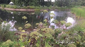 جزء عم | سورة الهمزة  | سعيد الخطيب