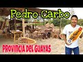 Pedro carbo y sus artesanos talladores de madera