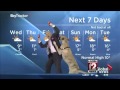 The cooler dog interrupts weather forecast