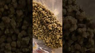 Why THCA Flower Prices Vary So Much | Retail vs Wholesale Explained