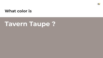 Tavern Taupe color #9e938f hex color - Brown color - Cool color 9e938f