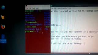 Famous Command Terminal Tutorial - Matrix movie Code - Running Python from DOS or Linux Profile