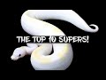 The 10 Most Popular Ball Python Supers!