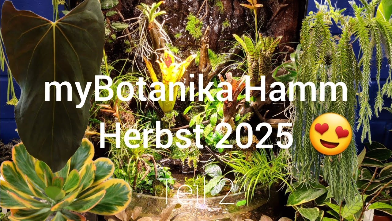 myBotanika Hamm 🌱 | Herbst 2025 🍁 | Teil 2 💚
