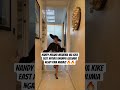 nandy unampa asilimia ngapi #music #rapper #drill #fypシ゚viral #global #rap #trending #ukdrill #dri