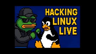 HACKING LINUX LIVE! Learn Python, Puzzle Games, Linux Hacking Demos