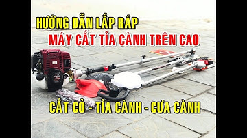 Hướng dẫn lắp ráp và test máy cưa cắt cành trên cao 3 in 1