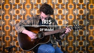 Iris DF Model played by Maarten Dispa Demo The Fellowship of Acoustics