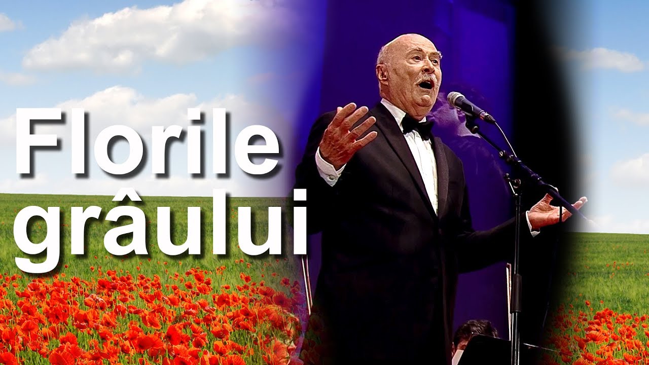 Tudor Gheorghe:  Florile grâului