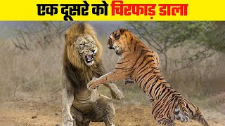 खतरनाक शिकारियों की दिल दहलाने वाली लड़ाई | Deadliest Battles Between Carnivores