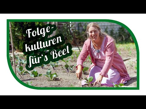 Video: Fruchtfolge. Abwechselndes Gemüse In Den Beeten