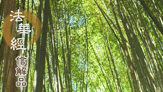 【靜思妙蓮華】法華經信解品 - 信願力行悟方等 - 20210507 第801集