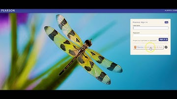 Pearson Realize Signing In