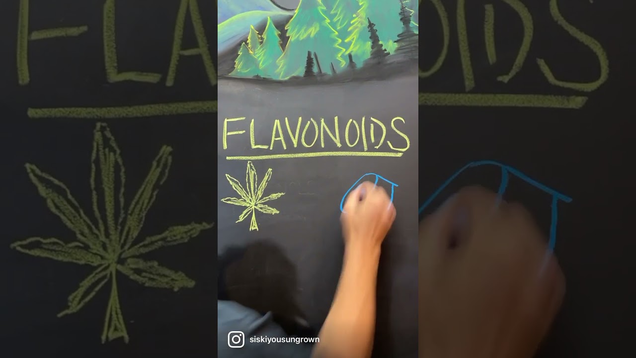 Flavonoids