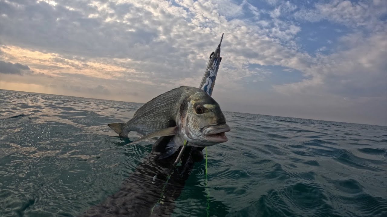 15 октября 2023.Сны подводного охотника в море!Sogno di un cacciatore subacqueo nel mare d'autunno!