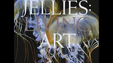 Douglas Morton   Jellies Living Art