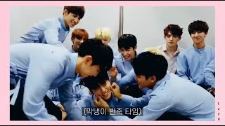 12명의 형들이 막내를 대하는 자세 (귀여워하거나 놀리거나...)[세븐틴]