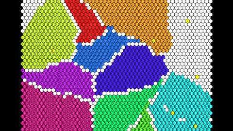 Multiple Physarum in Competition Model Simulation