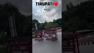Srivariseva Day 07♥️. #tirupati #tirumala #govinda #travel #ytshorts #vlog #nature #ttd
