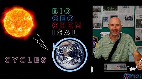 BioGeoChemical Cycles: AP Environmental Science: Flipped Class Lesson