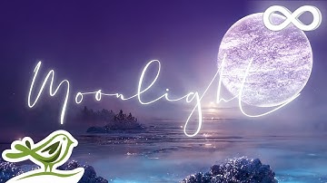 Moonlight: Ethereal Ambient Music for Deep Sleep by Peder B. Helland with Nature Slideshow